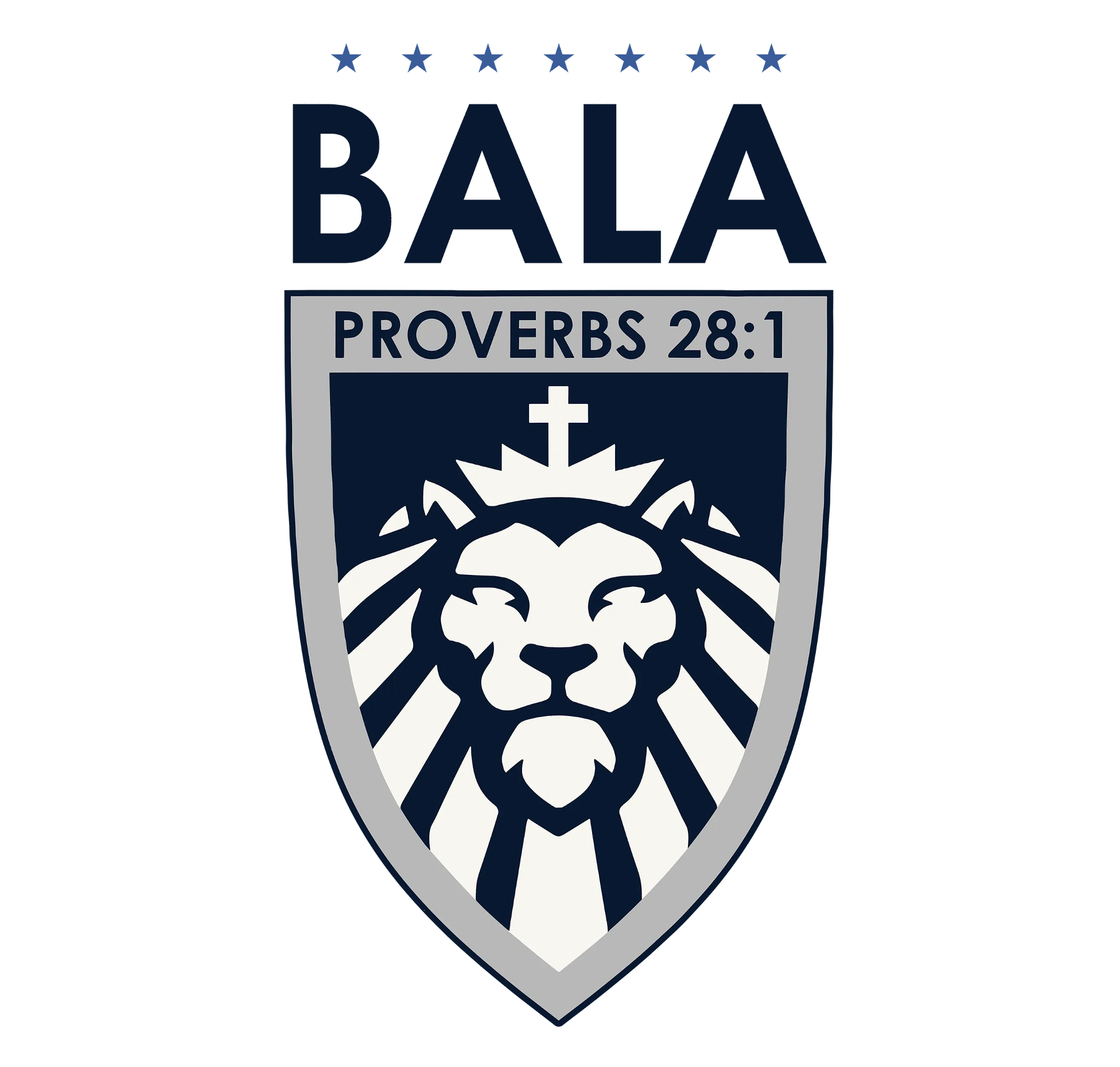 Bold As Lions Academy